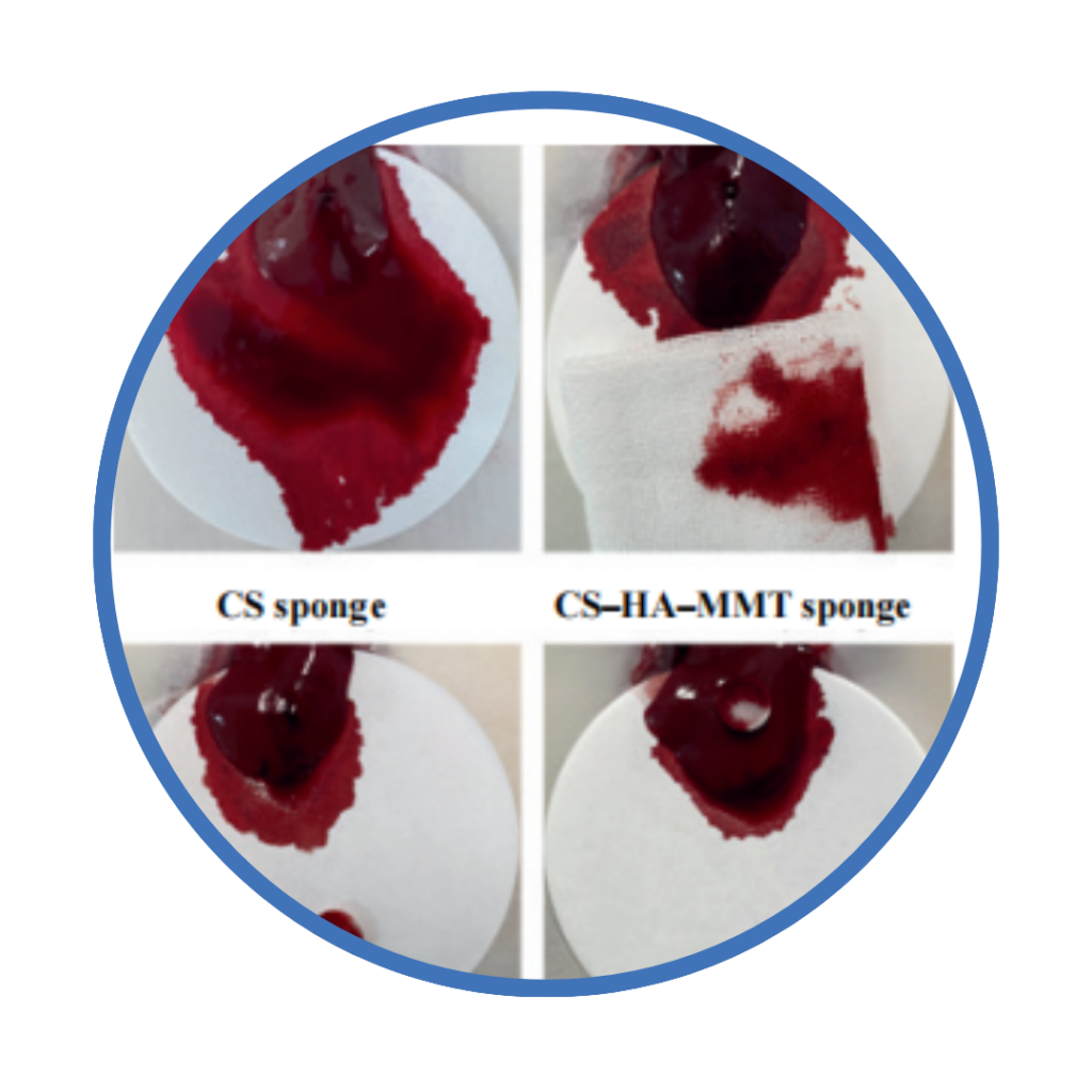 Biocompatibility and Safety in Modern Wound Care