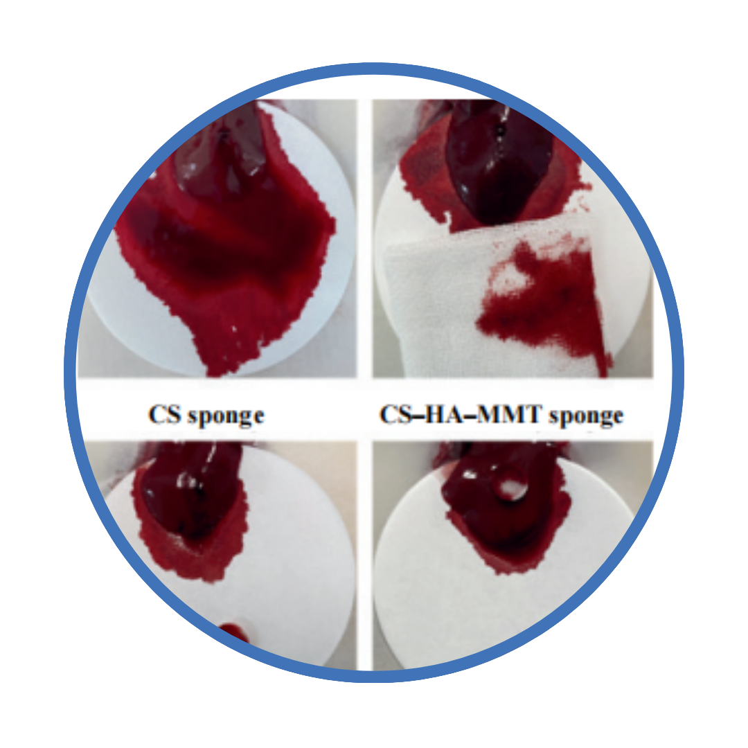 Biocompatibility and Safety in Modern Wound Care